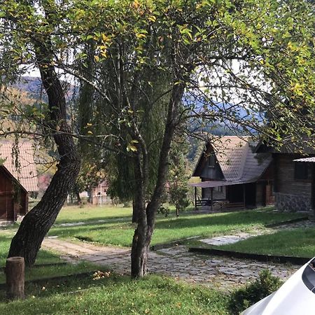 Elephant Family Borjomi Room photo